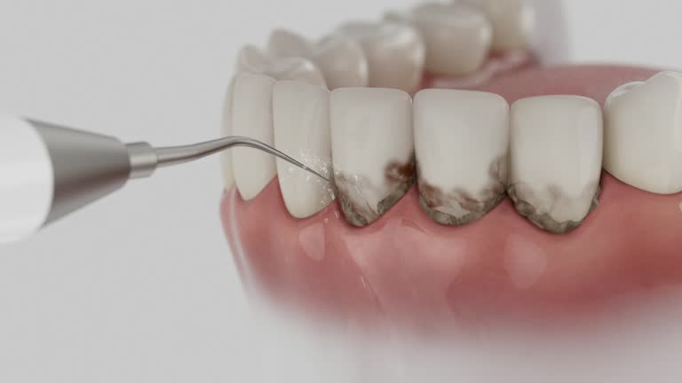Reliable Dental contractor in Leavittsburg, OH by Dentist Open Now
